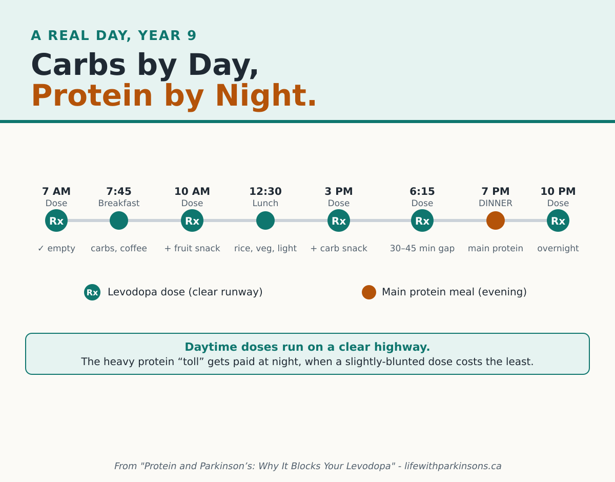 Daily timeline infographic showing carbohydrate-based meals during the day and the main protein meal moved to around 7 PM, with levodopa doses spaced 30 to 60 minutes before eating.