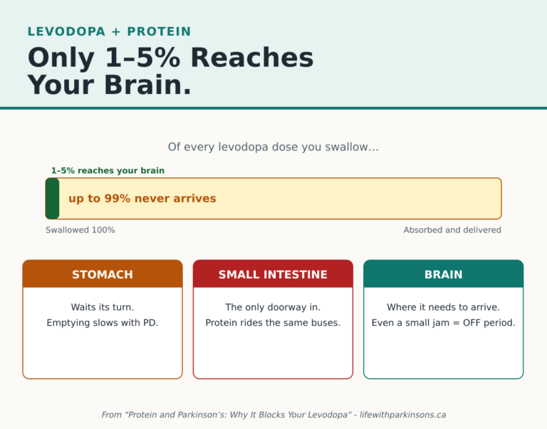 Infographic: Only 1 to 5 percent of levodopa reaches the brain, meaning up to 99 percent never arrives at its destination.